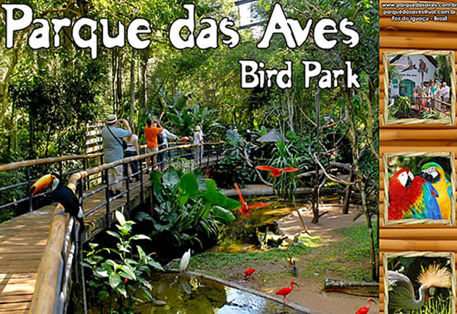 http://www.rinosturismo.com/wp-content/uploads/2017/01/parque-das-aves-en-foz-de-iguazu1.jpg